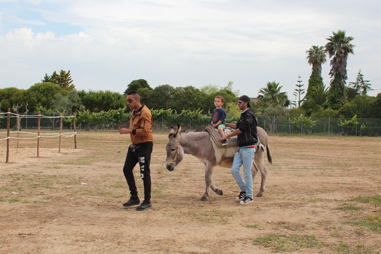 Quinta na Moagem 2017