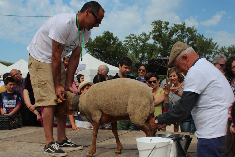 Quinta na Moagem 2017