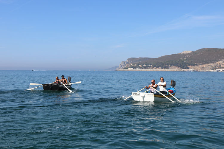 Regata de Aiolas 2017