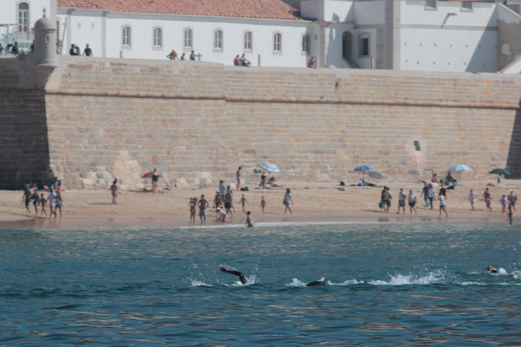 Travessia da Baía 2017