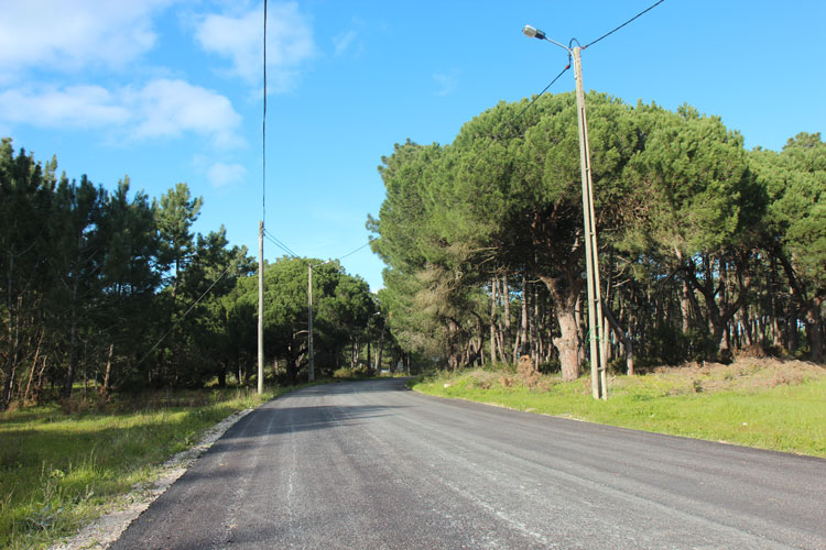 Rua das Giestas - Fornos