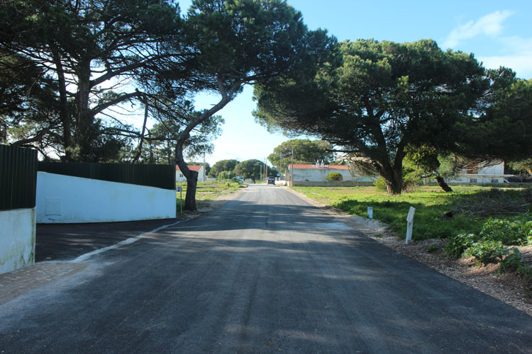 Rua dos Currais - Alfarim