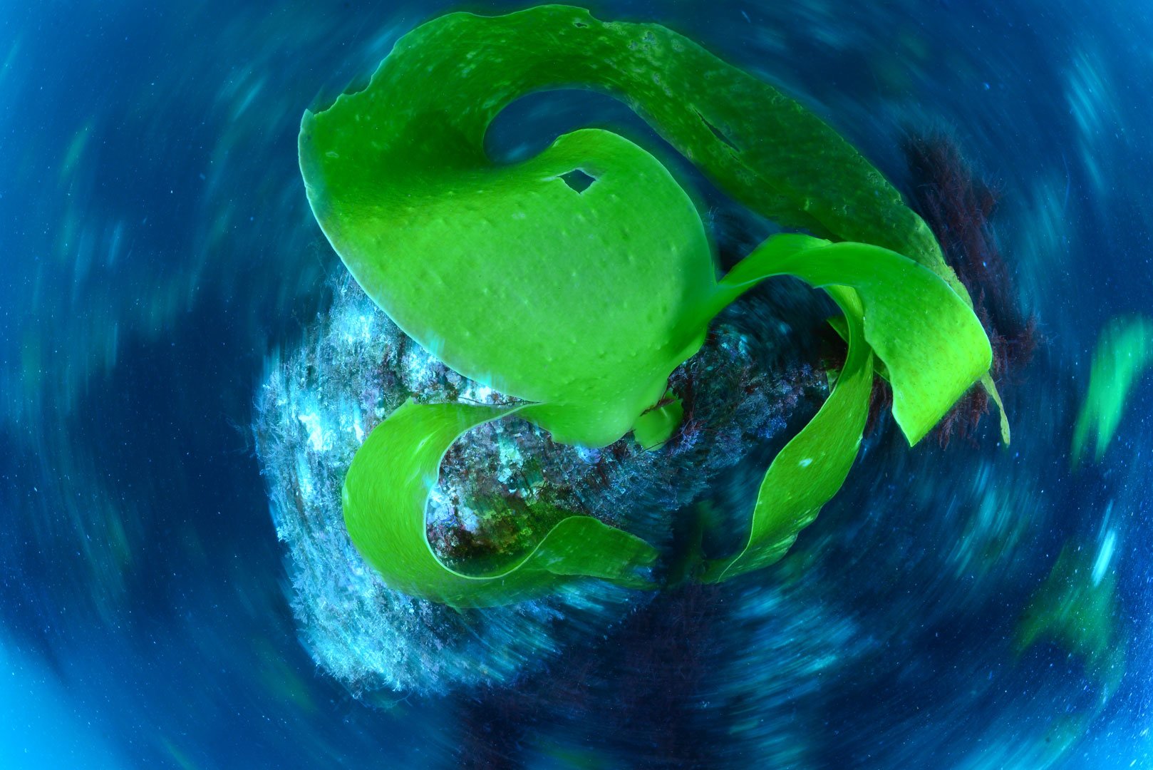 Luís Campos, 4º Lugar - Arrastamento