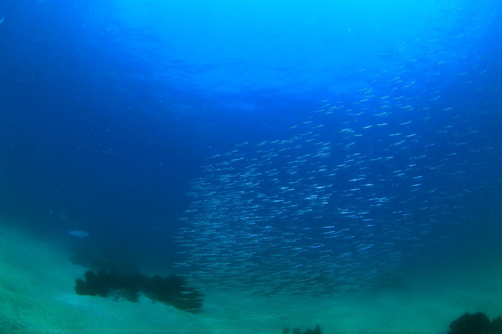 Bruno Verhulst, 1º Lugar - Grande Angular