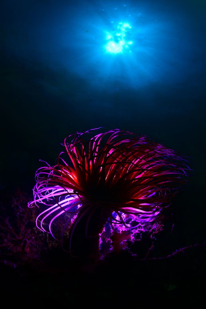 Rui Bernardo, 4º Lugar - Grande Angular