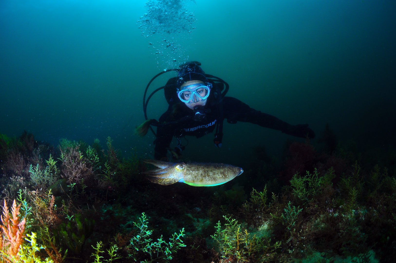 Rui Janarra, 7º Lugar - Grande Angular com Mergulhador