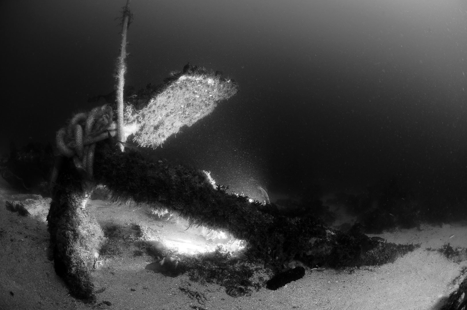 Susana Silva, 2º Lugar - Preto e Branco