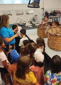 conservadaores_um_dia