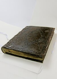 foral_tombo_constituicao