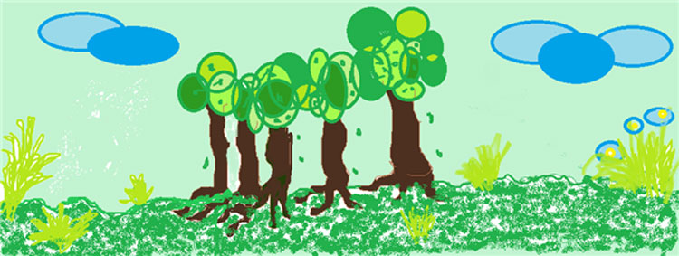 Trabalho: A floresta | Tema: O meu sítio favorito (1º CEB) | Artista: Pedro Santos | Escola: Esco...