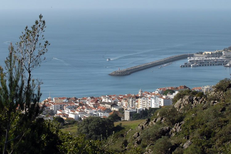 Câmara e Assembleia Municipal aprovam isenções da derrama