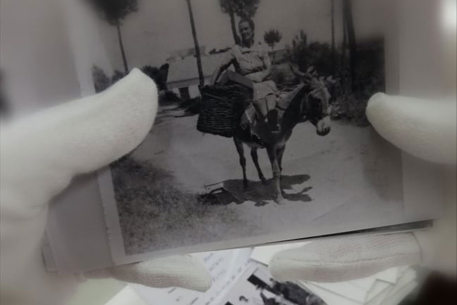 colecao_geraldino_penim_1_2500_2500