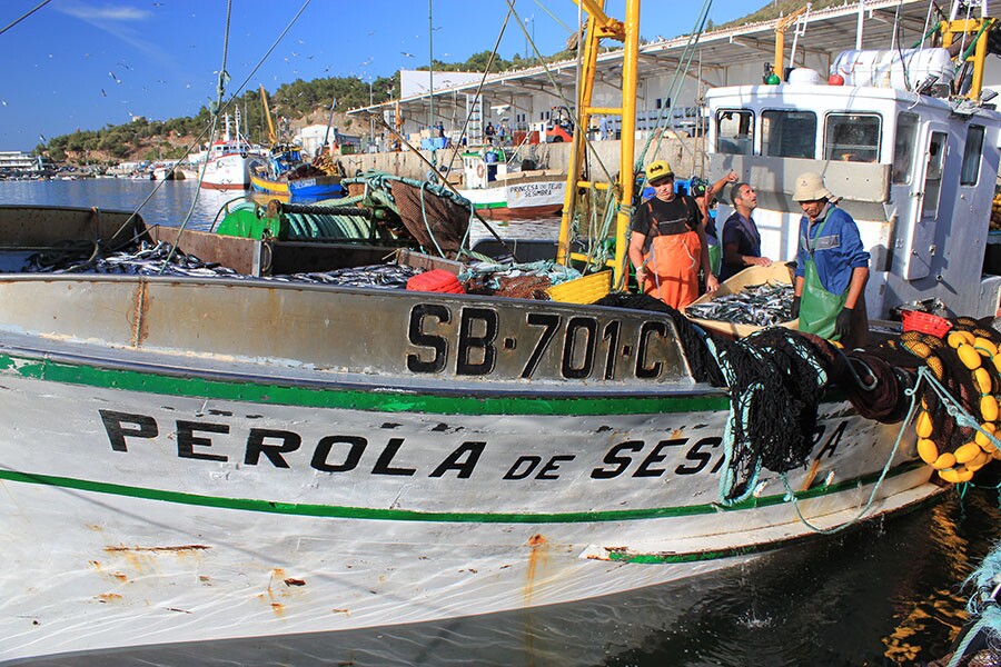 colecao-miguel-lourenco