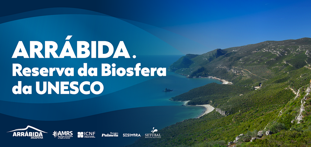 SITE CMS BANNER TOPO 1190x565px