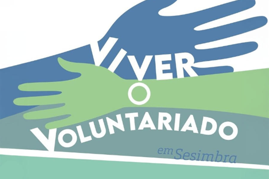 viver-voluntariado2