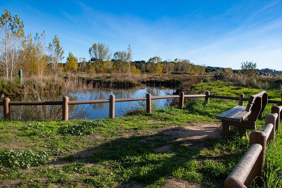 parque-varzea