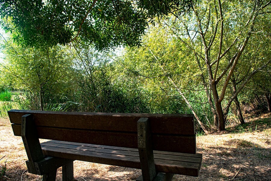 parque-ribeira